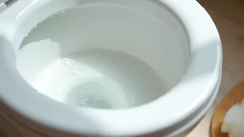 czyszczenie toalety z kamienia