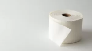jaki papier toaletowy