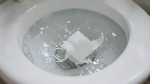 czy mokry papier toaletowy sie rozpuszcza
