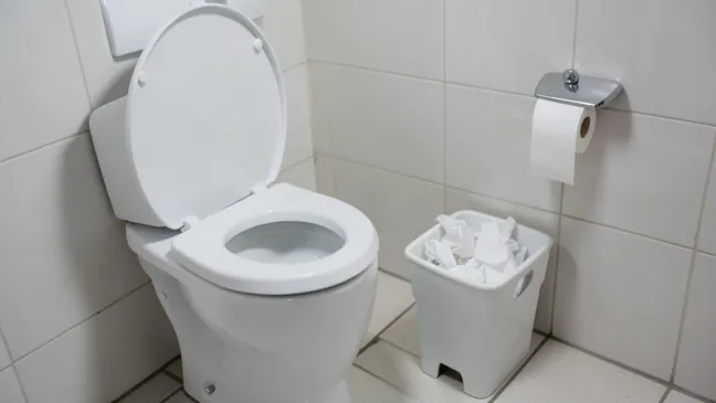 czy na cyprze mozna wrzucac papier do toalety