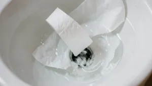 czy papier toaletowy rozpuszcza się w wodzie