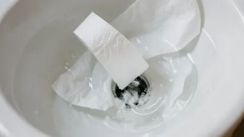 czy papier toaletowy rozpuszcza się w wodzie