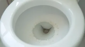 czym odkamienić toaletę