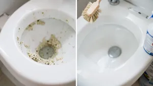 czyszczenie toalety z kamienia