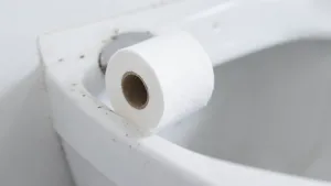 do czego służy papier toaletowy