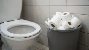 gdzie nie można wrzucać papieru do toalety