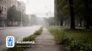 gdzie toaleta