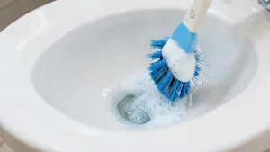 Jak umyc toaletę w srodku
