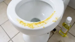 jak usunąć kamień w toalecie