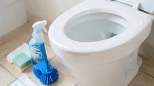 Jak wyczyścić toaletę