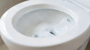 jak wyczyscic toalete soda oczyszczona