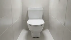 Minimalne wymiary toalety