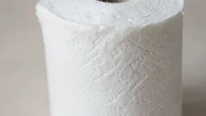 papier toaletowy bio