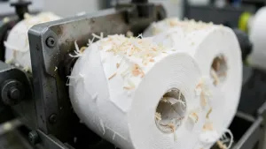 produkcja papieru toaletowego z makulatury