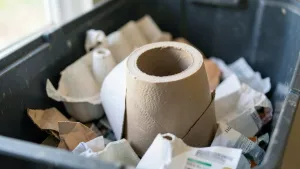 rolka po papierze toaletowym gdzie wyrzucić