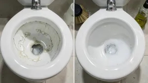 sposób na kamień w toalecie