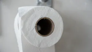 szerokość rolki papieru toaletowego