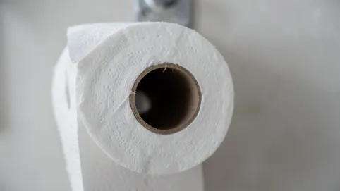szerokość rolki papieru toaletowego